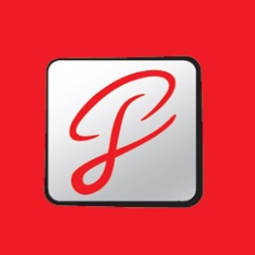 www.pesi.at logo google